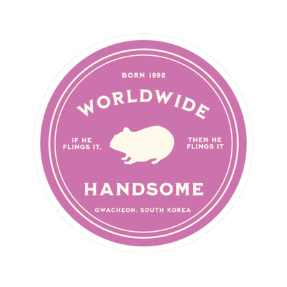 Jin Vinyl Sticker - Fanmade BTS Nickname Merch - Worldwide Handsome - Permanent Adhesive