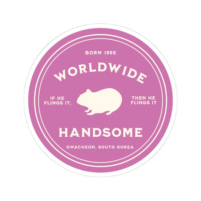 Jin Vinyl Sticker - Fanmade BTS Nickname Merch - Worldwide Handsome - Permanent Adhesive