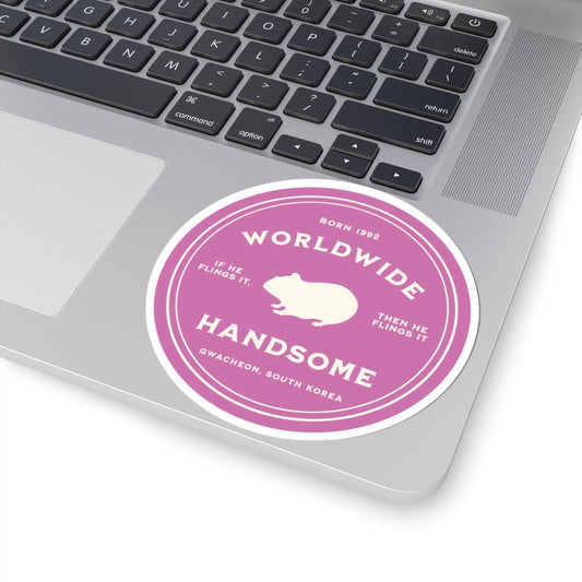 Jin Vinyl Sticker - Fanmade BTS Nickname Merch - Worldwide Handsome - Permanent Adhesive