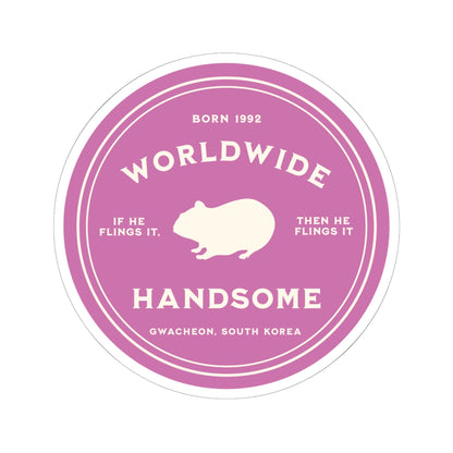 Jin Vinyl Sticker - Fanmade BTS Nickname Merch - Worldwide Handsome - Permanent Adhesive