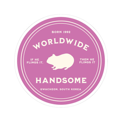 Jin Vinyl Sticker - Fanmade BTS Nickname Merch - Worldwide Handsome - Permanent Adhesive