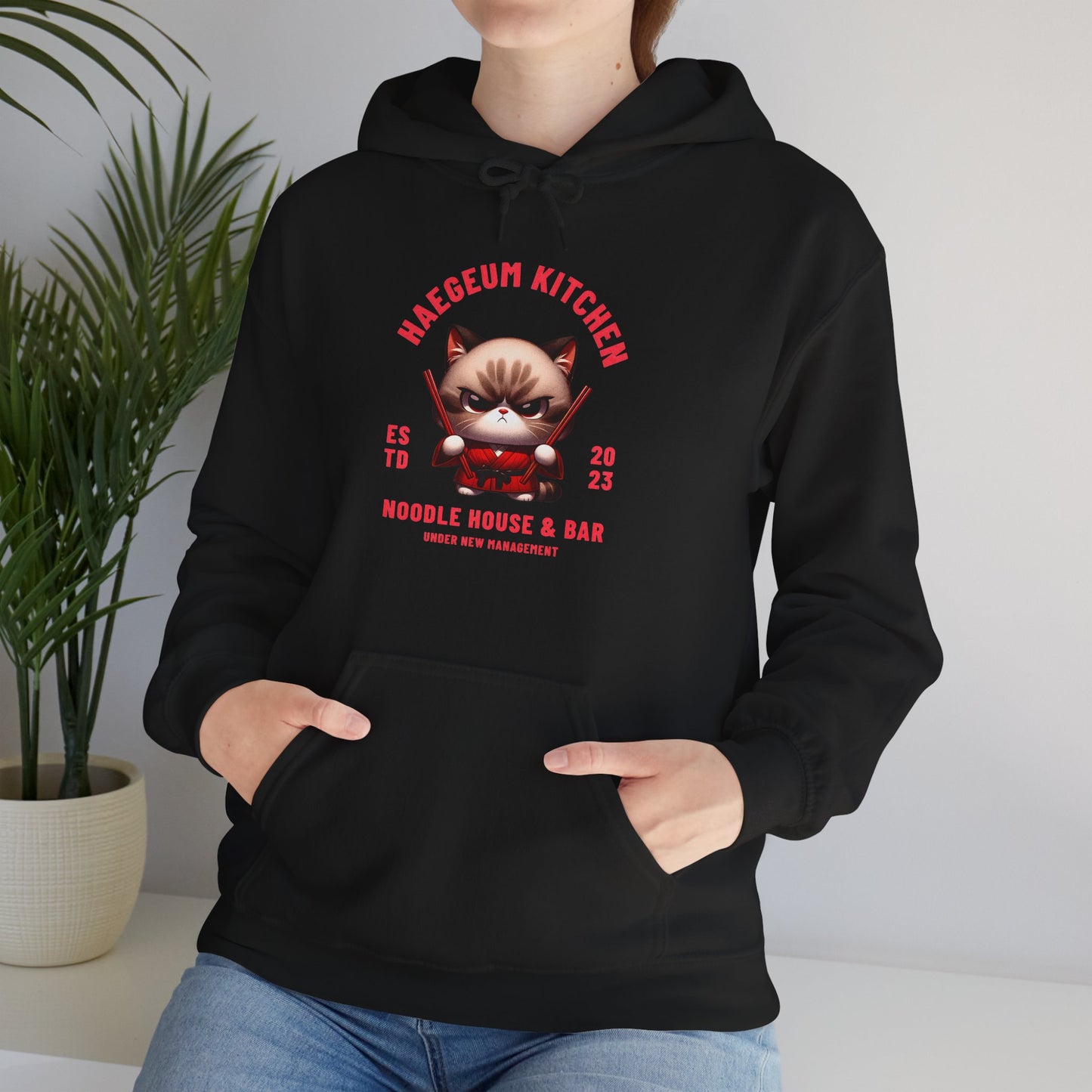 Yoongi Hoodie - Haegeum Noodle House - Fanmade BTS Merch - Cozy Unisex Sweatshirt